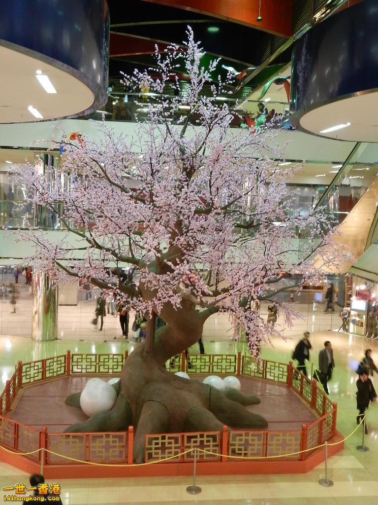 DSCN1071.JPG