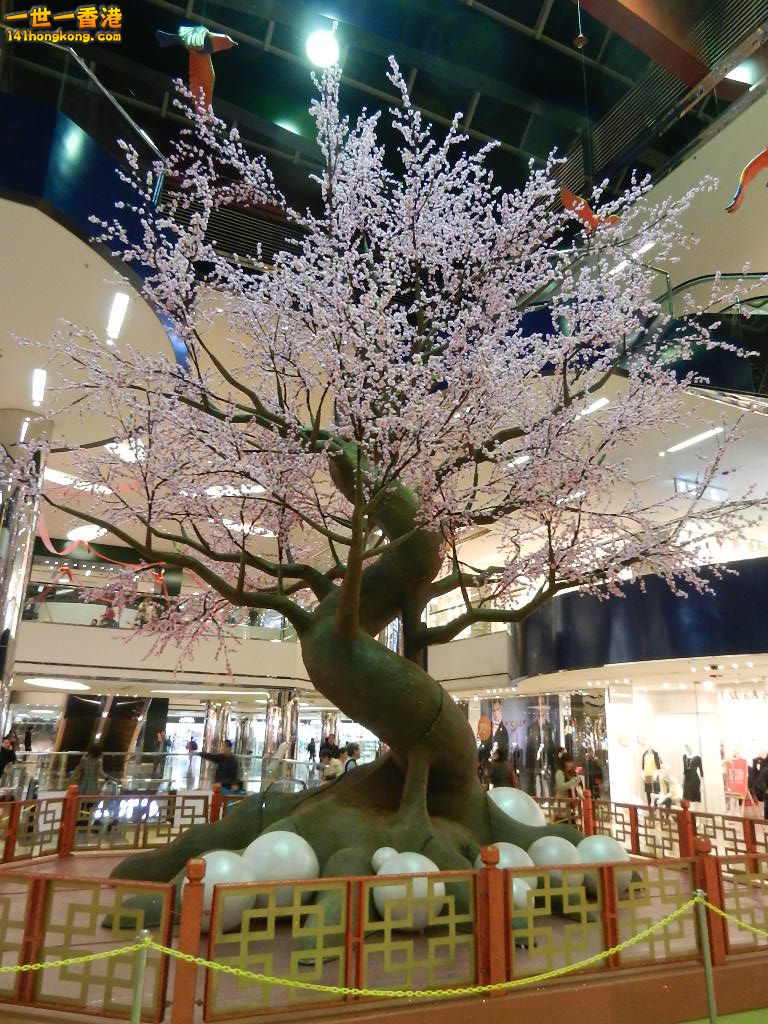 DSCN1072.JPG