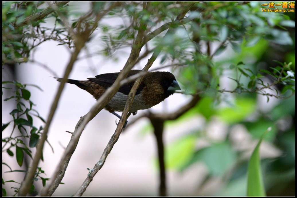 DSC_5781.jpg