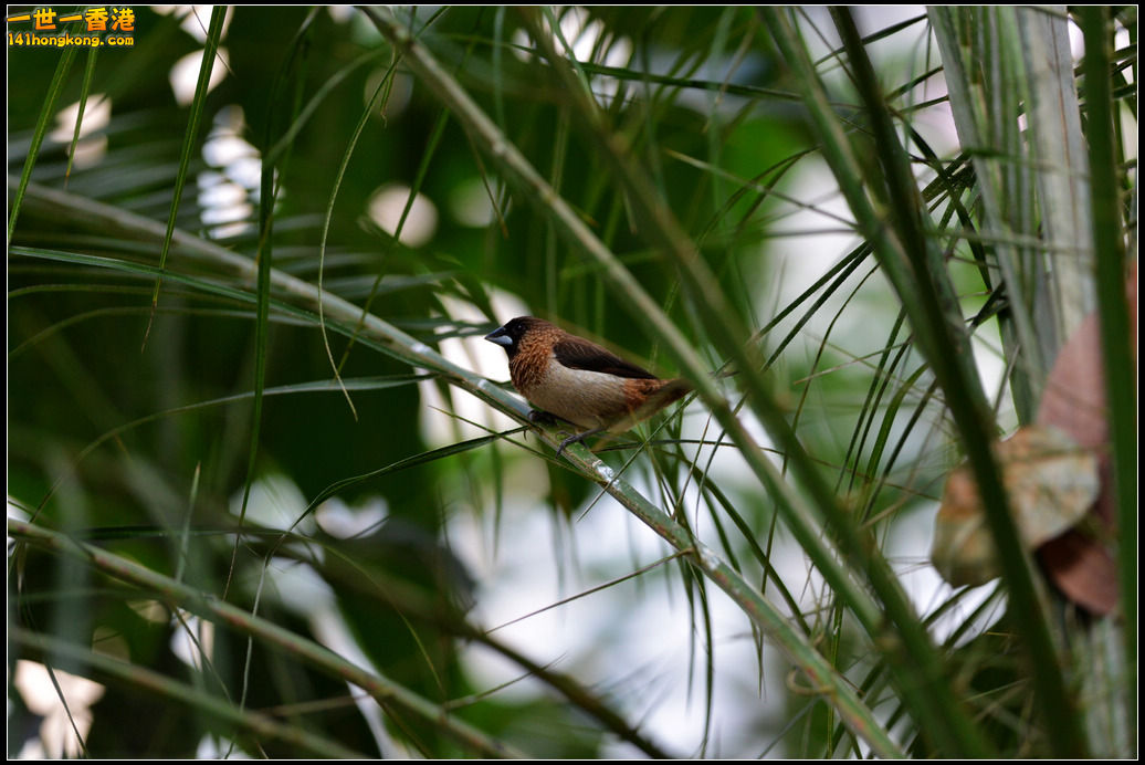 DSC_5804.jpg