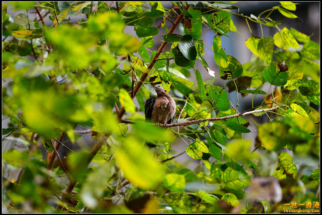DSC_5823.jpg