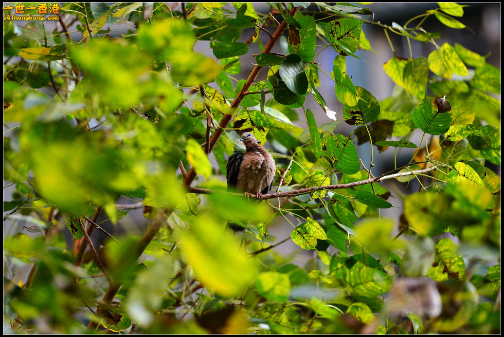 DSC_5823.jpg