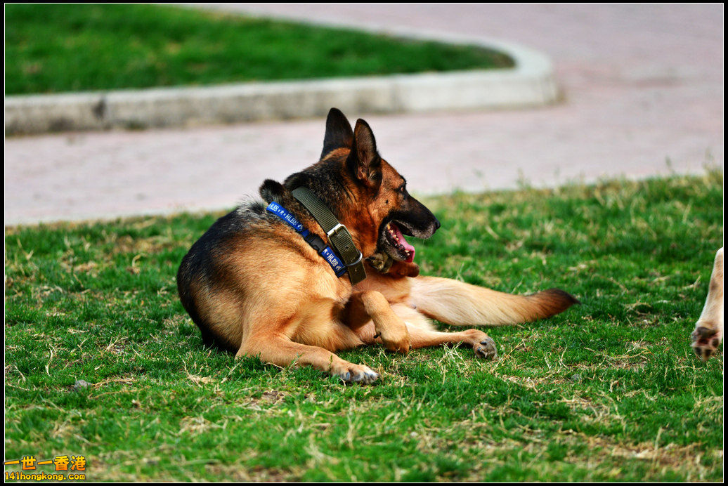DSC_5852.jpg