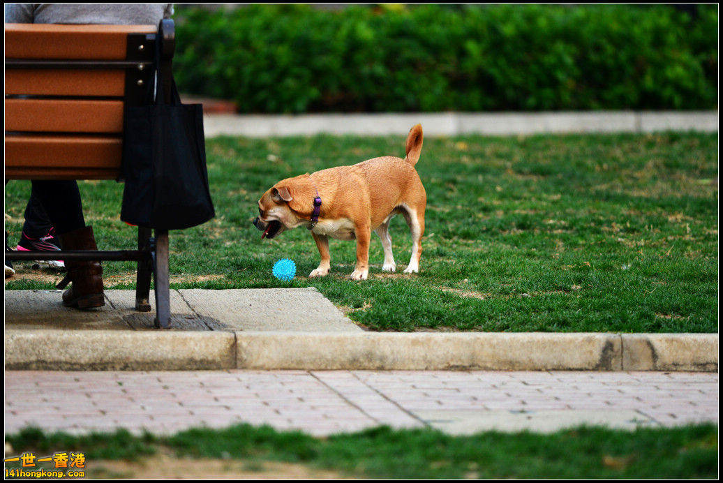 DSC_5857.jpg