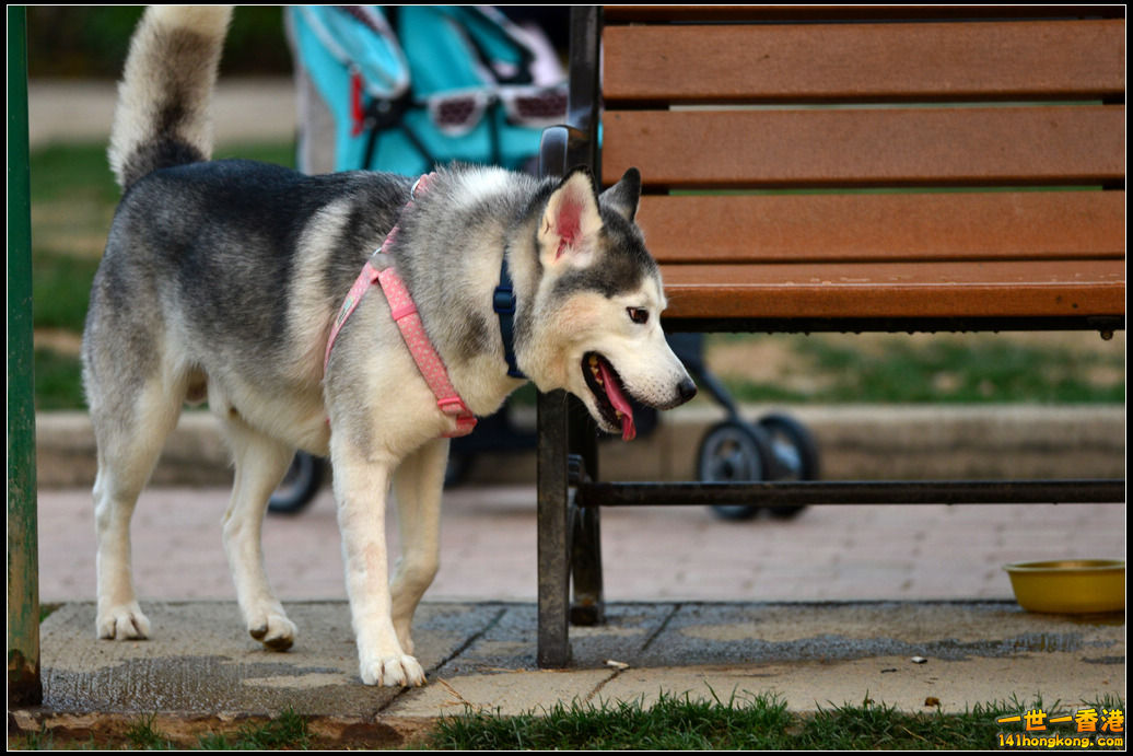 DSC_5867.jpg