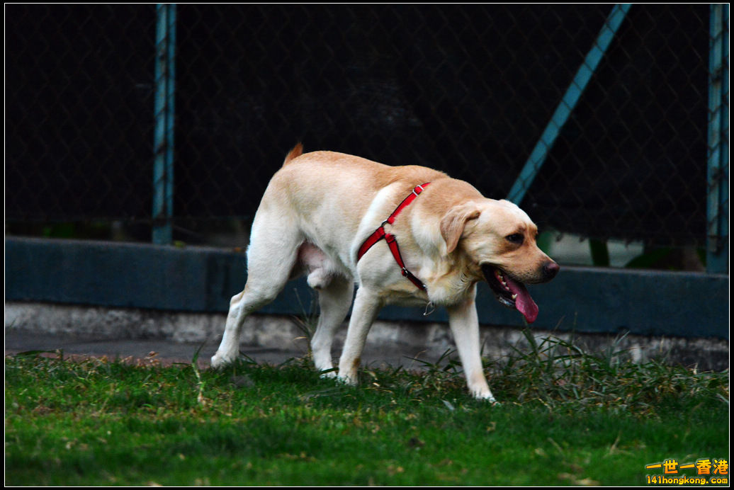 DSC_5875.jpg