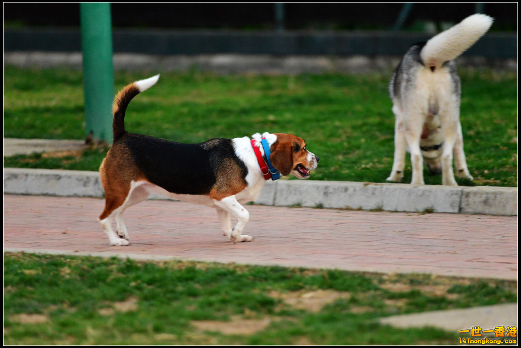 DSC_5887.jpg