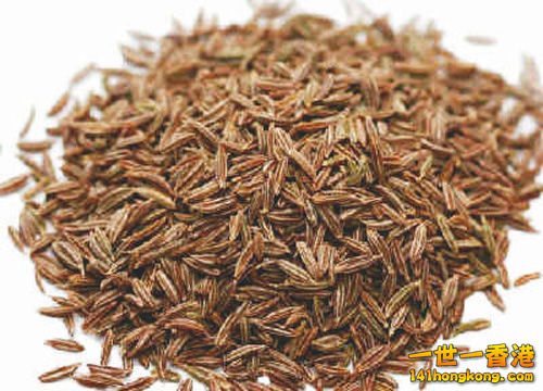 安息茴香.jpg