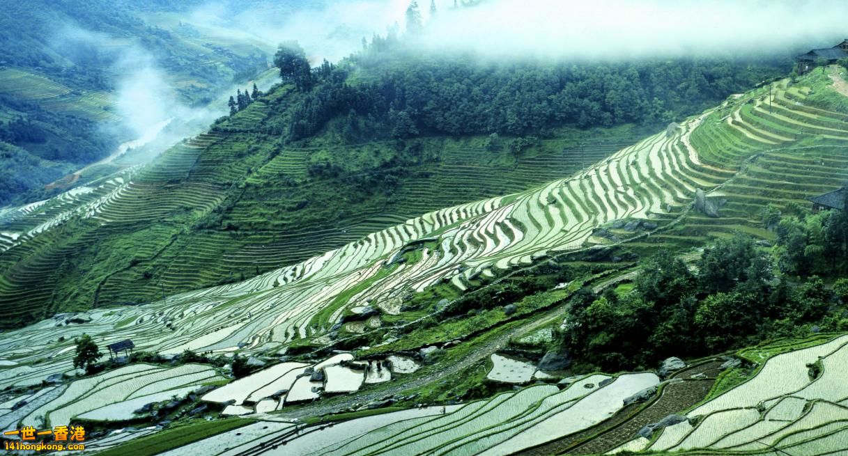 TT277828775         27093945734.jpg