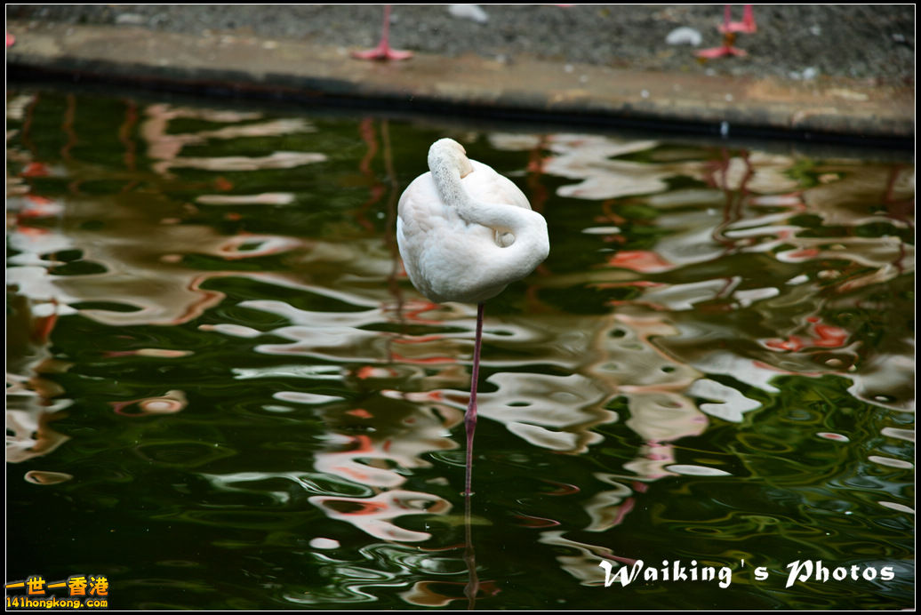 DSC_6113.jpg
