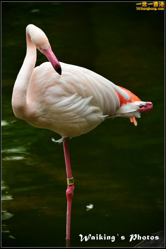 DSC_6116.jpg