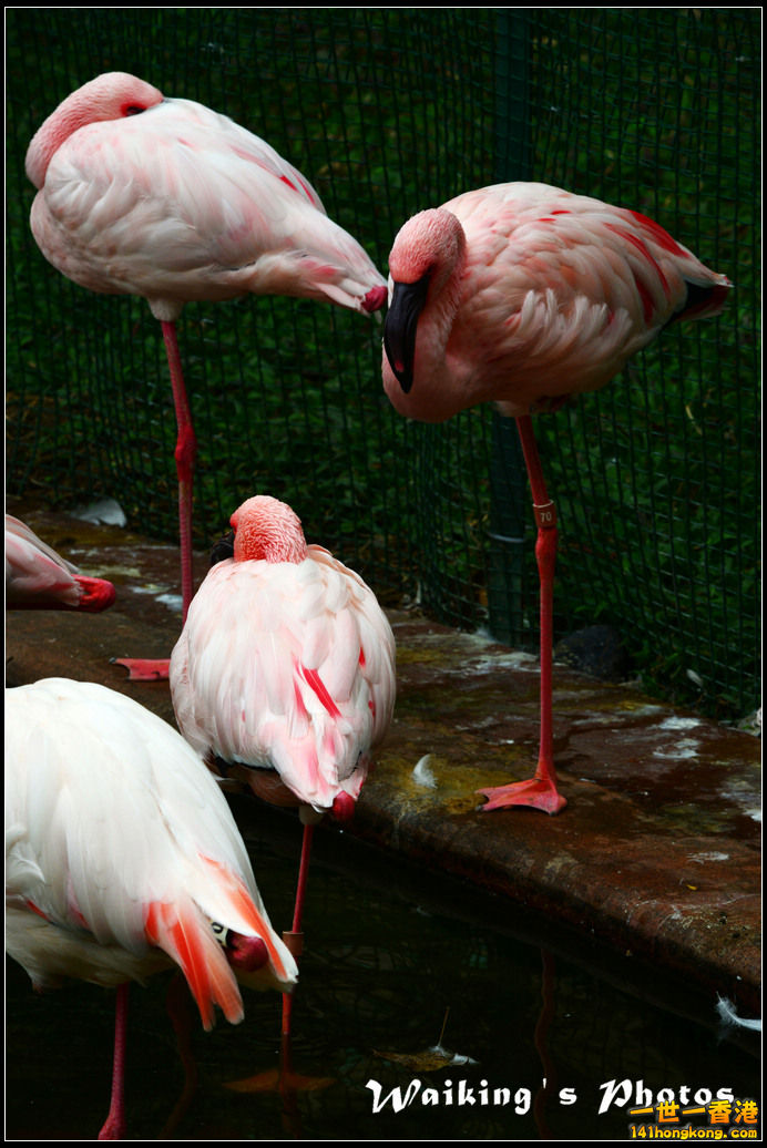 DSC_6117.jpg