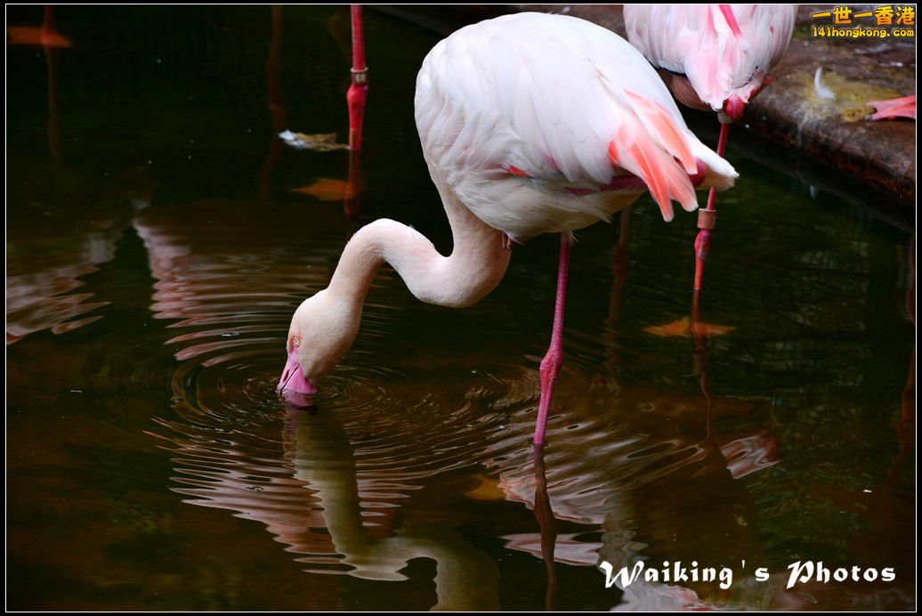 DSC_6120.jpg