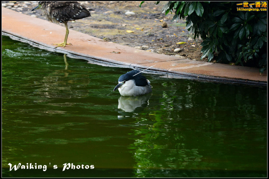 DSC_6139.jpg