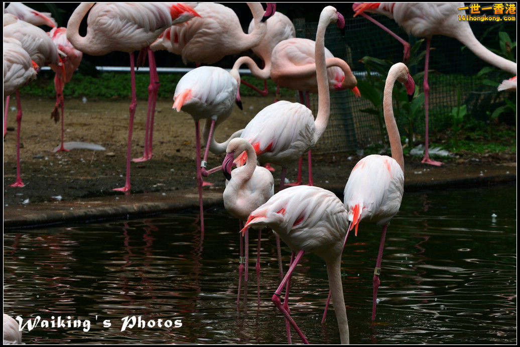 DSC_6141.jpg