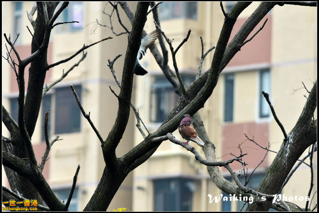 DSC_6143.jpg