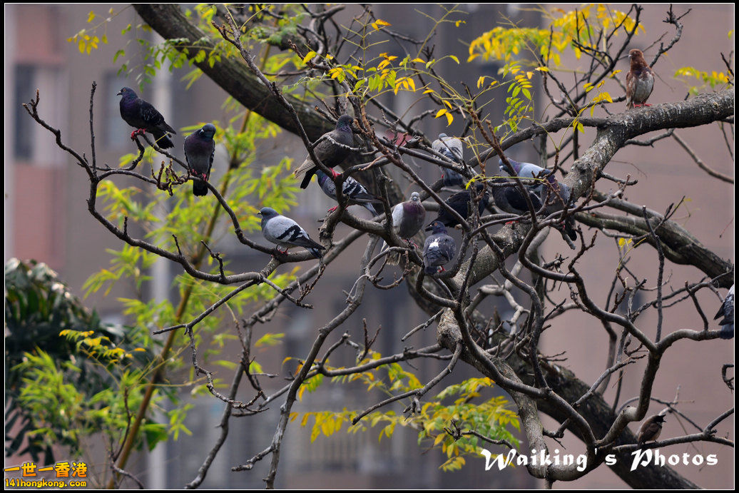 DSC_6157.jpg