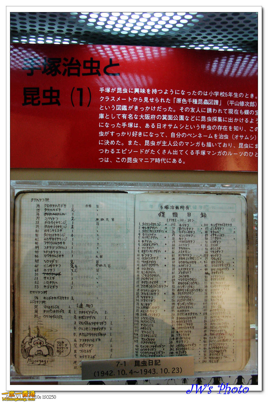 DSC02210.jpg