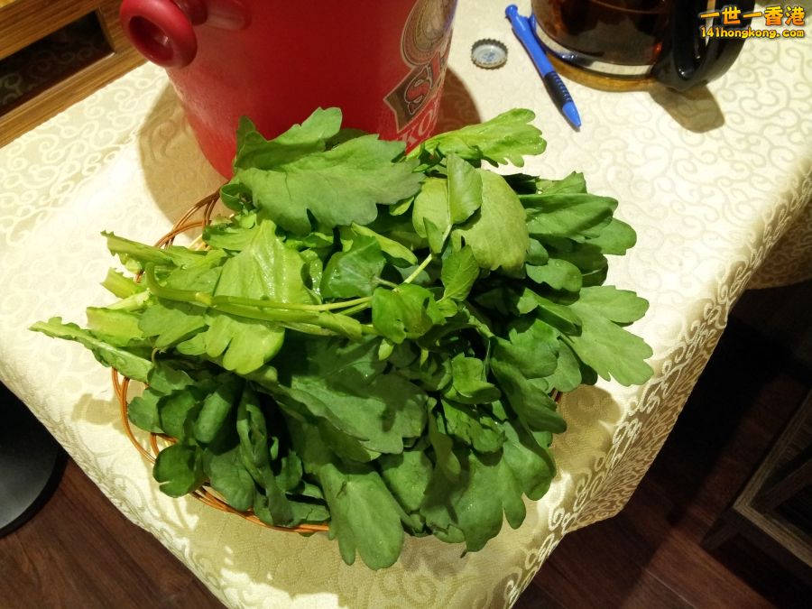 20130131_202428.jpg