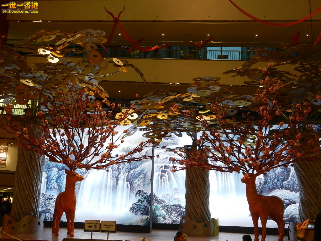 DSCN1092.JPG