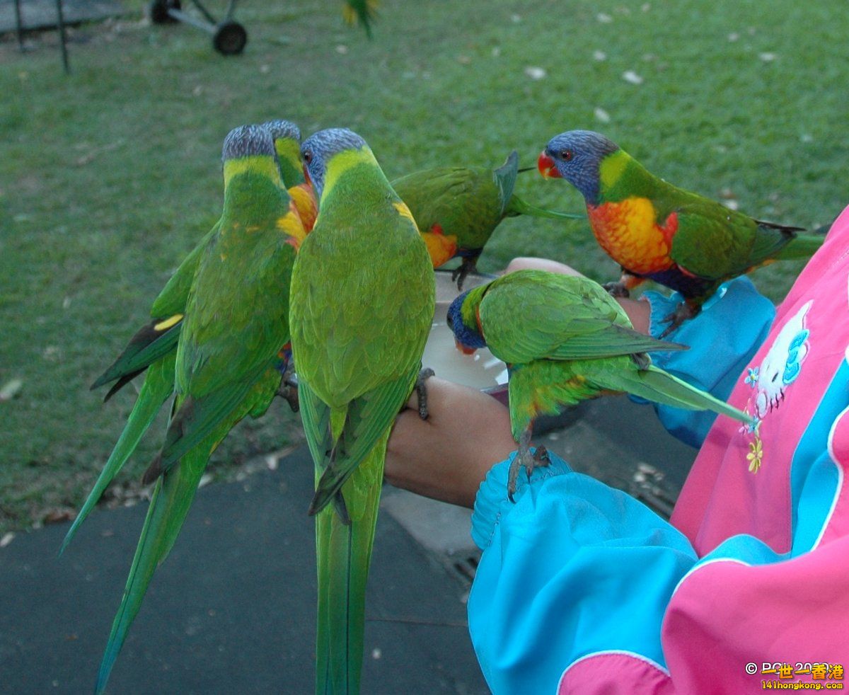 DSC_3884.JPG