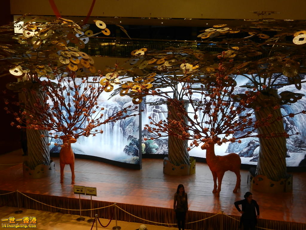 DSCN1097.JPG