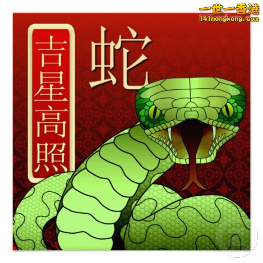 蛇年.jpg