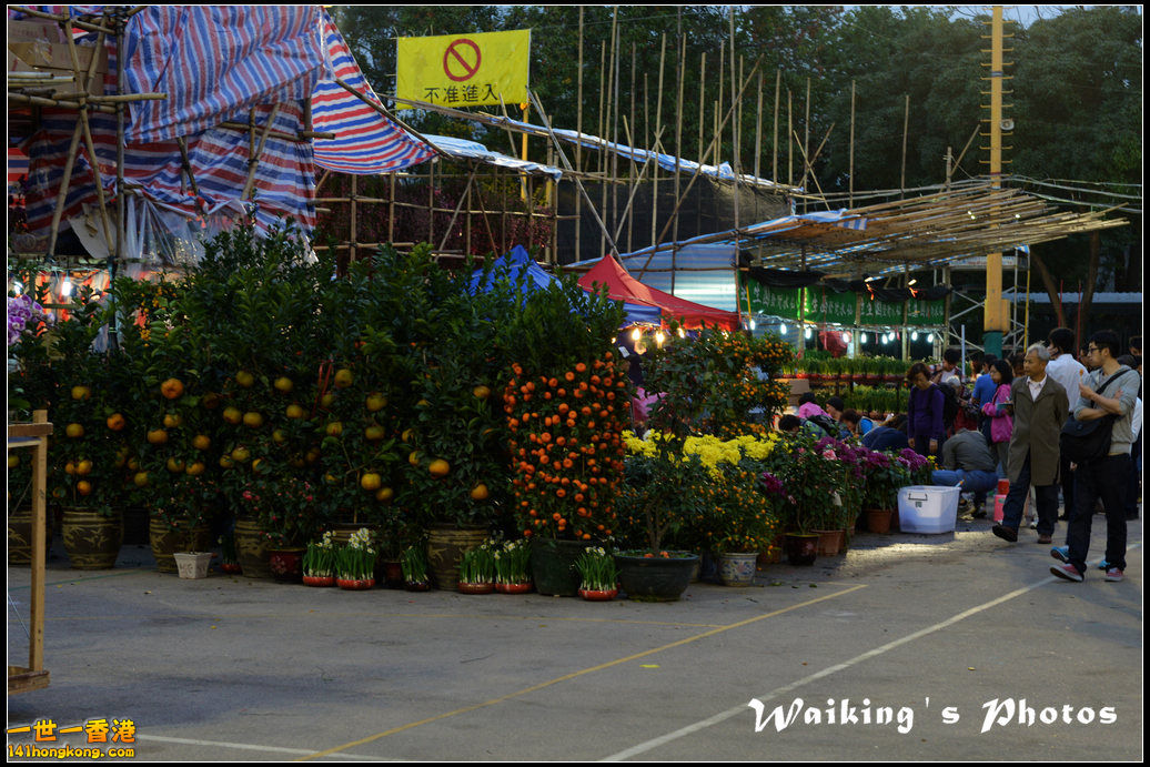 DSC_7733.jpg