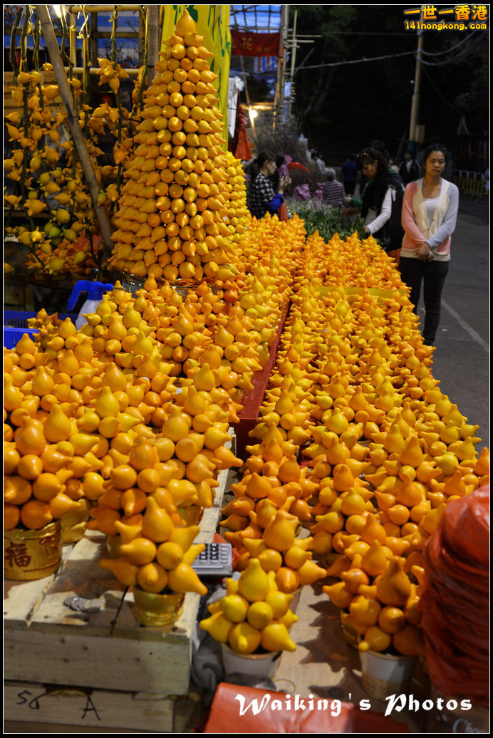 DSC_7763.jpg