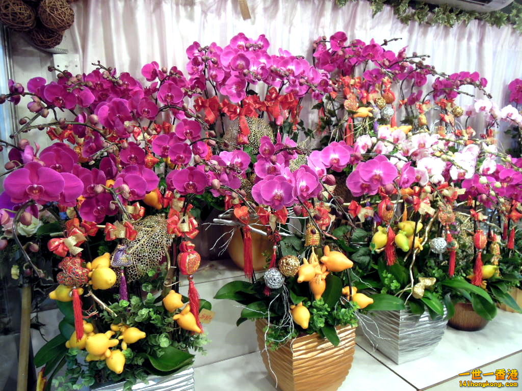 DSCN3342.JPG