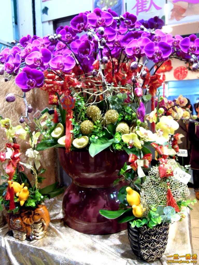 DSCN3345.JPG