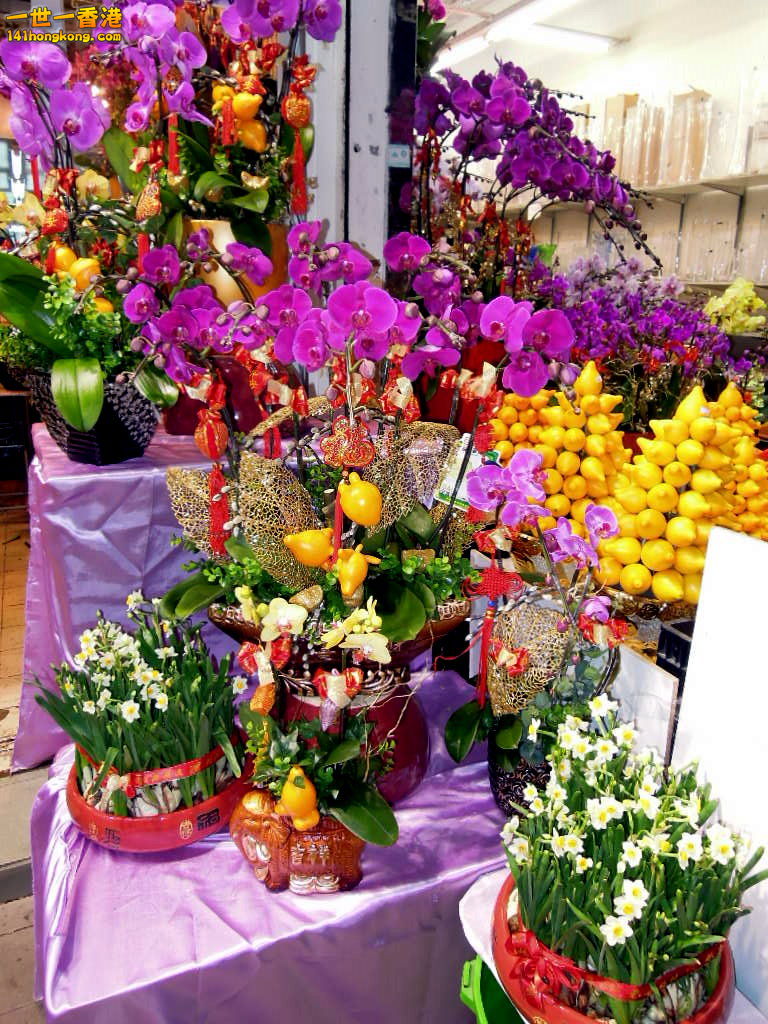 DSCN3346.JPG