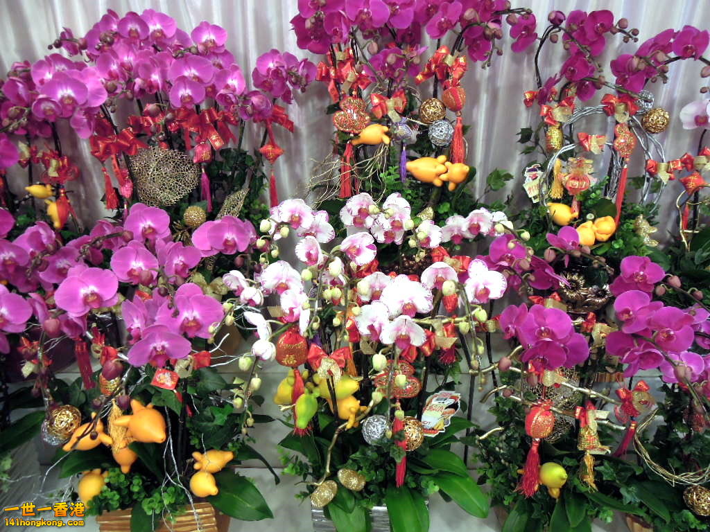DSCN3356.JPG