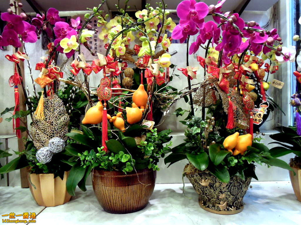 DSCN3359.JPG