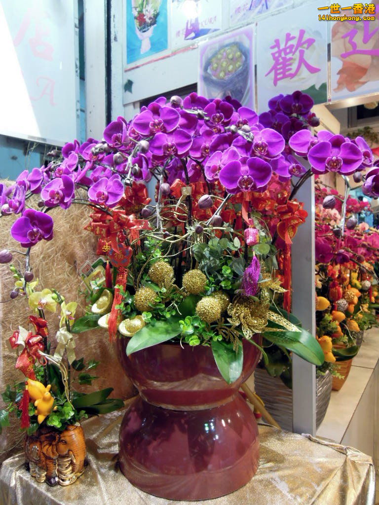 DSCN3360.JPG
