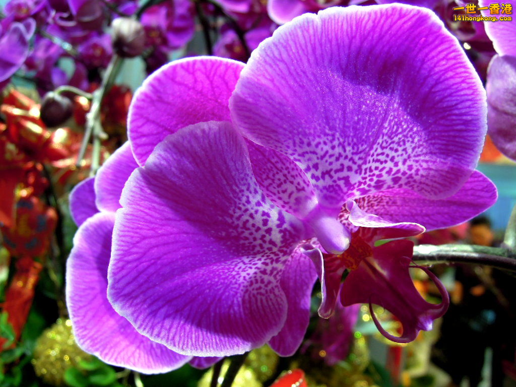 DSCN3361.JPG