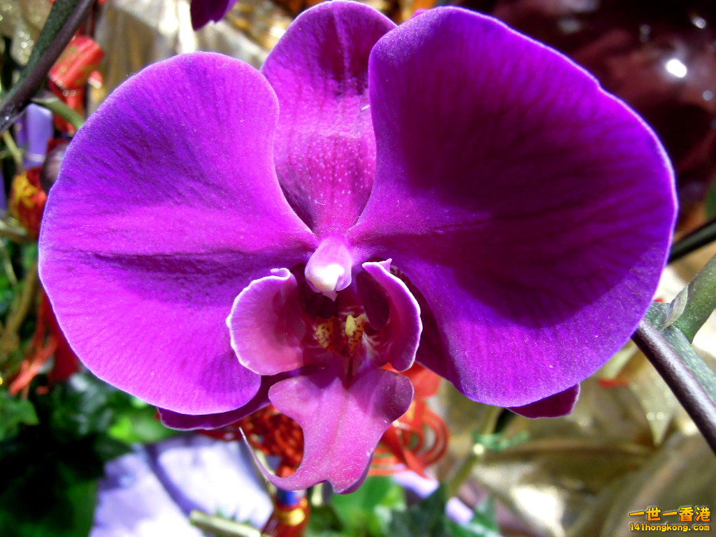 DSCN3362.JPG