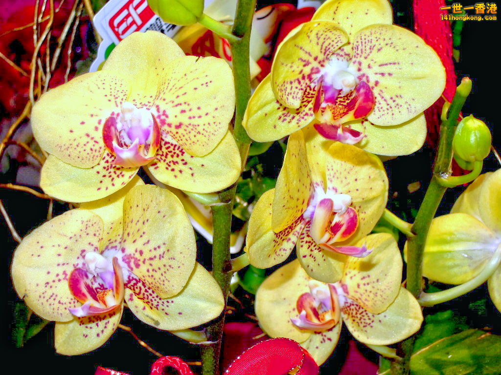 DSCN3368.JPG