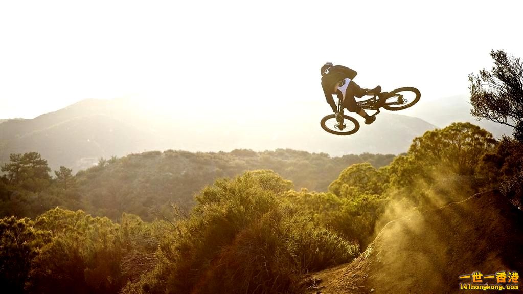 Copy of skok na rowerze w lesie.jpg