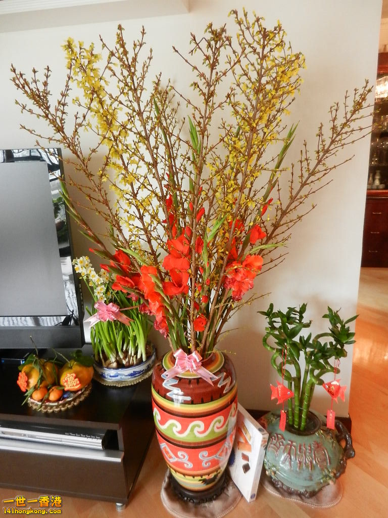 DSCN1248.JPG