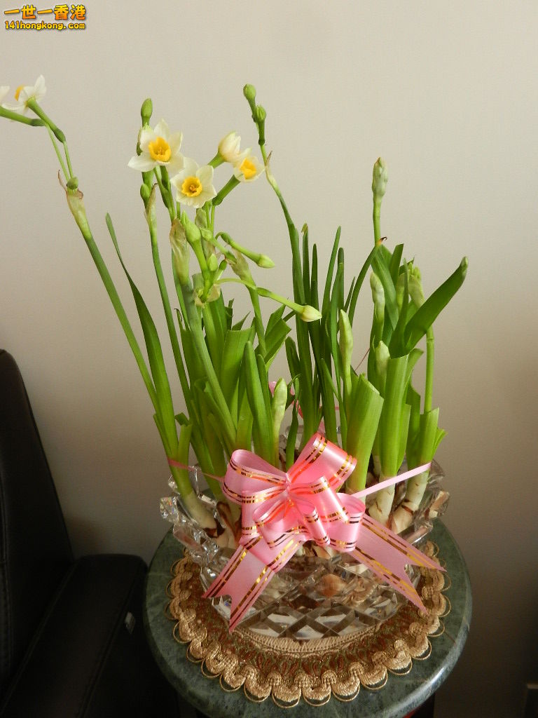 DSCN1239.JPG