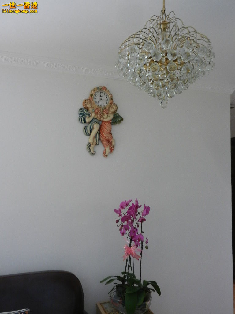 DSCN1238.JPG