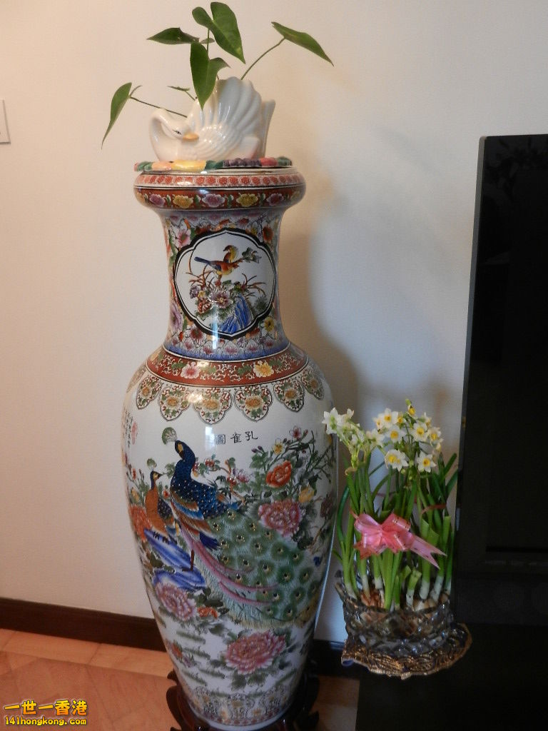DSCN1251.JPG