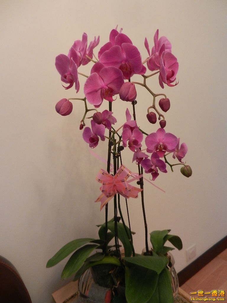DSCN1249.JPG