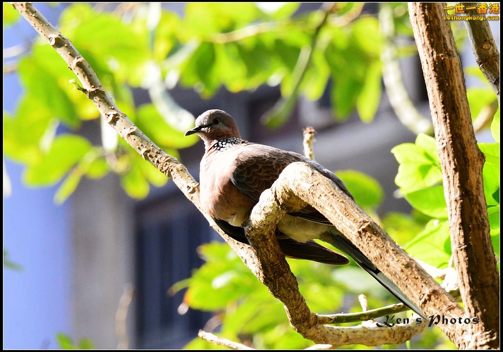 DSC_1075.jpg