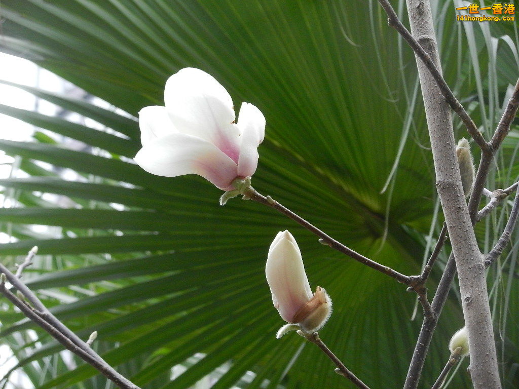 DSCN1294.JPG