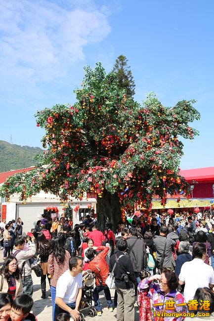 15.JPG