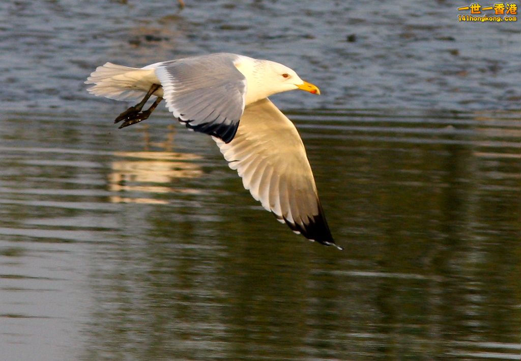 IMG_8833.JPG