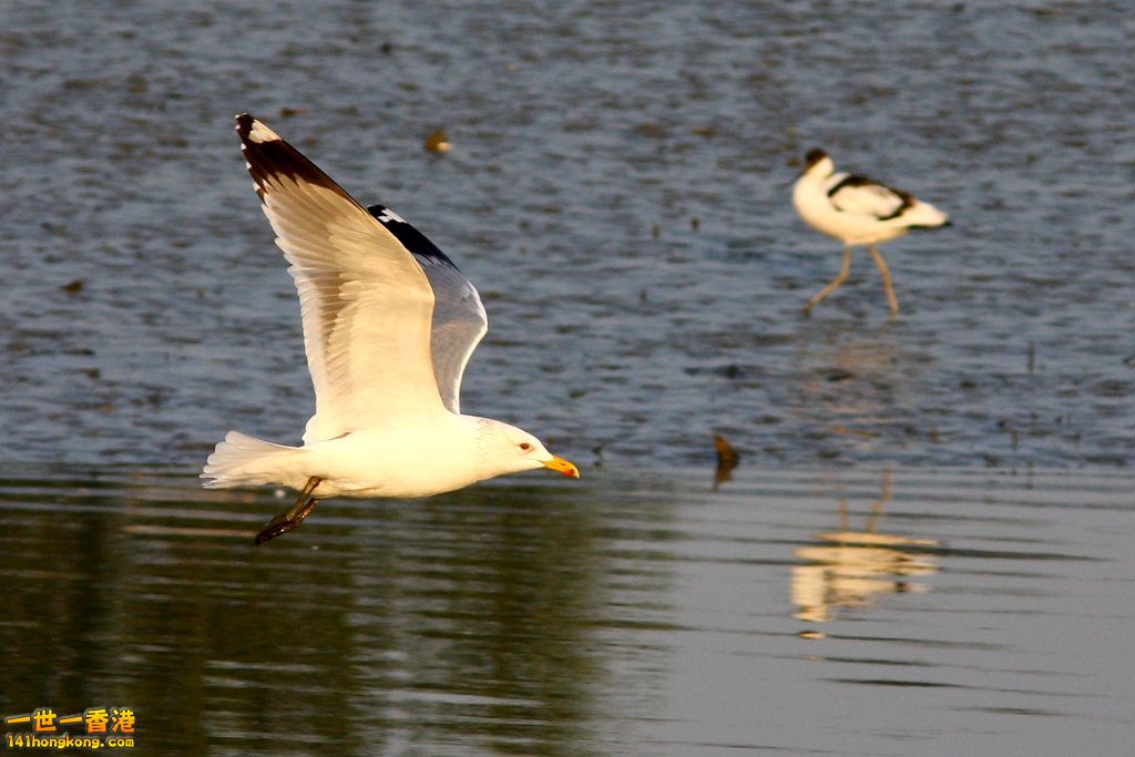 IMG_8834.JPG