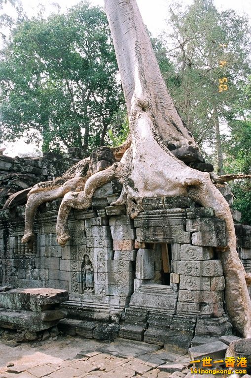 49870034 (複製).JPG